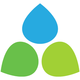 Logo Virginia Mason Foundation