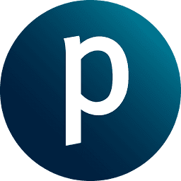 Logo Protiviti Consulting Pvt Ltd.