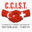 Logo Swiss Turkish Chamber of Commerce & Industry