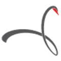 Logo Swanline Developments Pty Ltd.