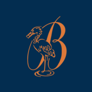 Logo Arora Group