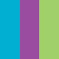 Logo The David Lewis Centre