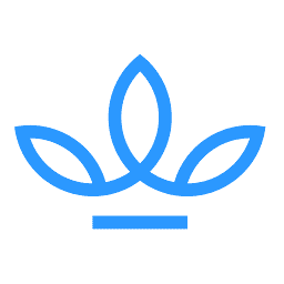 Logo RBWH Foundation