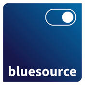 Logo Bluesource Information Ltd.