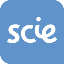 Logo Social Care Institute for Excellence
