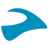 Logo Cardo Systems Ltd. (Texas)