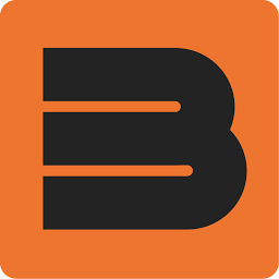 Logo Baltijas Apdrošinašanas Nams AAS