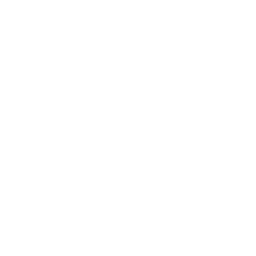 Logo Dragon Group Ltd.