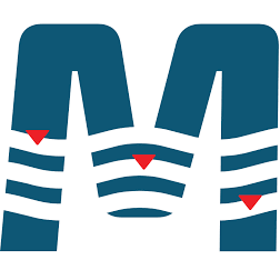 Logo PSM Technologies, Inc.