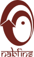Logo Nabard Financial Services Ltd.