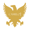 Logo Camelot Portfolios LLC