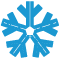 Logo CustomerXPS Software Pvt Ltd.