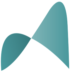 Logo Bravia Capital Partners NV Inc