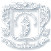 Logo University of Cauca