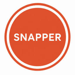 Logo Snapper Net Solutions AS