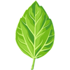 Logo Generation Capital Management LLC