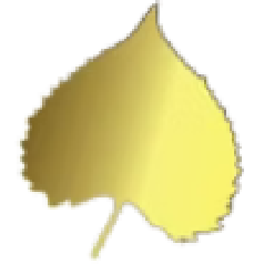 Logo Aspen Investment Management, Inc.