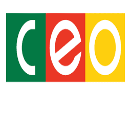 Logo CEO Group JSC