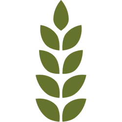 Logo Food Lifeline Hunger Solution Center