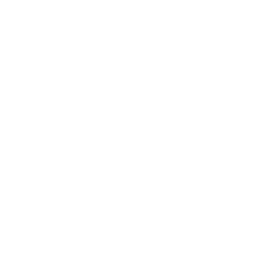 Logo Intrepid Group, Inc.