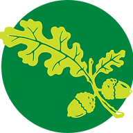 Logo Placer Community Foundation