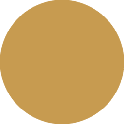Logo Braver Wealth Management LLC