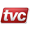 Logo Thames Valley Controls Ltd.