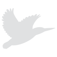 Logo Alceon Group Pty Ltd.