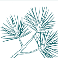 Logo John Gardner Fellowship Association