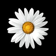 Logo Implenia Norge AS