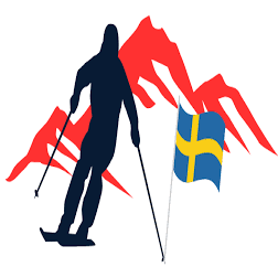 Logo Destination Fjällen Sverige AB