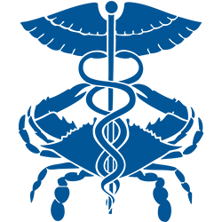 Logo Chesapeake Regional Information System for Our Patients