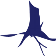 Logo Radix Capital Partners Ltd.