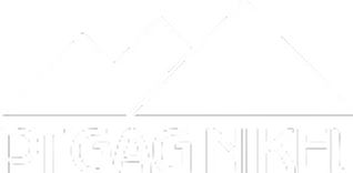 Logo PT Gag Nikel