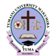 Logo Tumaini University Makumira