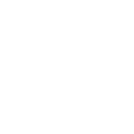 Logo Lauren International Ltd.