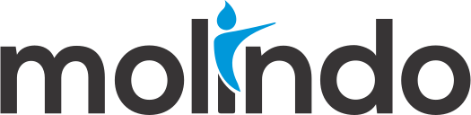 Logo PT Molindo Raya Industrial