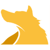 Logo Lobo Leasing Ltd.