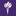 Logo NYU College of Dentistry