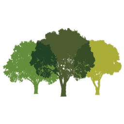 Logo Canopy Partners LLC