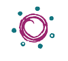Logo Hawaii Cord Blood Bank
