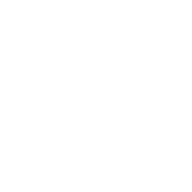 Logo Bnext Ltd.