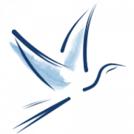 Logo Okabena Co.