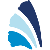 Logo Heartpace AB