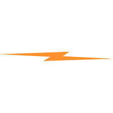 Logo Shinola/Detroit LLC