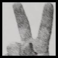 Logo The Vitanova Foundation