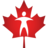 Logo Canadian Critical Care Trials Group
