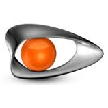 Logo D-Sight SA