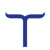Logo Toyam Sports Ltd.