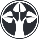 Logo DF Deutsche Finance Holding AG